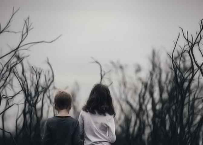 商业价值突出的器测压文章